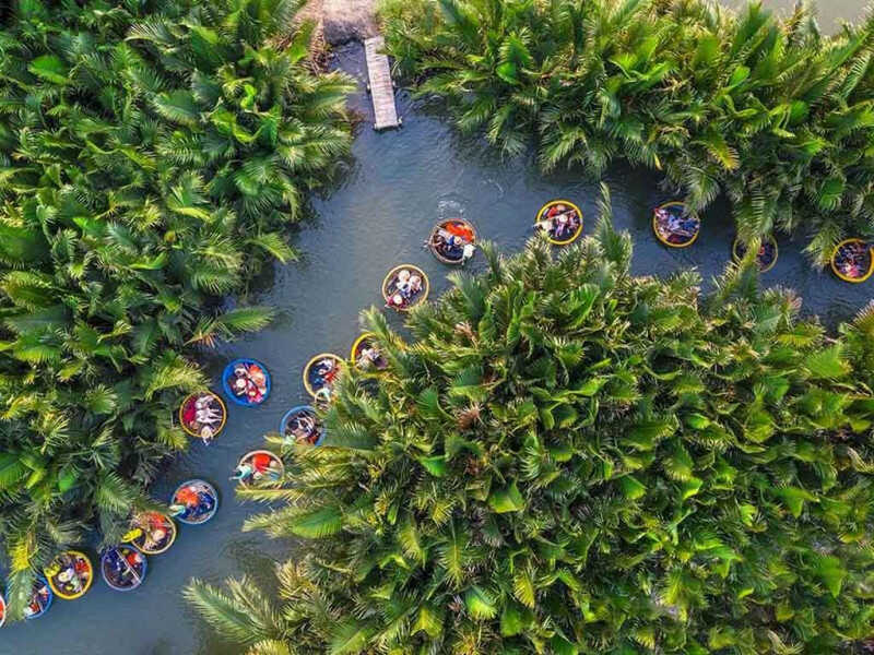 rừng dừa 7 mẫu