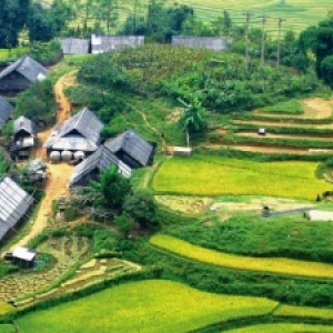 sapa_2.jpg