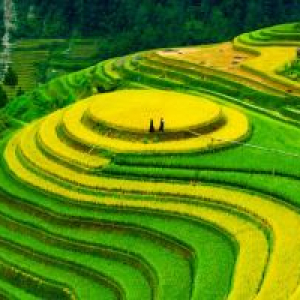 sapa_9.jpg