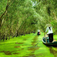 TP HCM - ĐỒNG THÁP - CHÂU ĐỐC - HÀ TIÊN - CẦN THƠ
