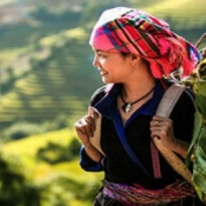 sapa_3.jpg