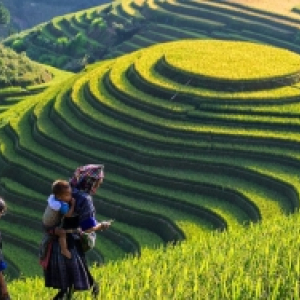sapa_1.jpg