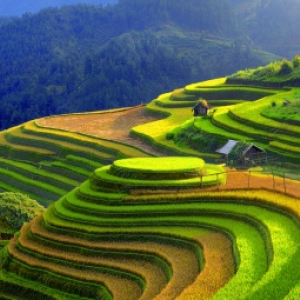 sapa_10.jpg