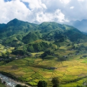 sapa_5.jpg