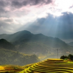 sapa_6.jpg