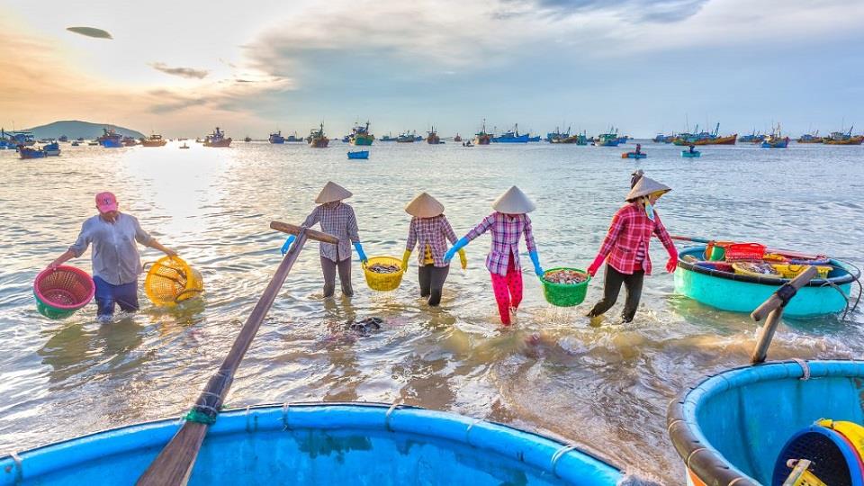 Hải sản mũi né - Nhã Linh Travel